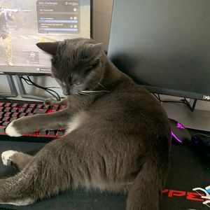 Meet your Posher, Sean